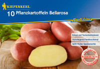 Kiepenkerl Pflanzkartoffel Bellarosa10ST