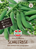 Sperli Schalerbse Kleine Rheinländerin