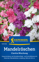 Kiepenkerl Mandelröschen Clarkia Mischung Kiepenkerl Mandelröschen Clarkia Mischung