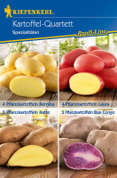 Kiepenkerl Pflanzkartoffel Mischungstüte