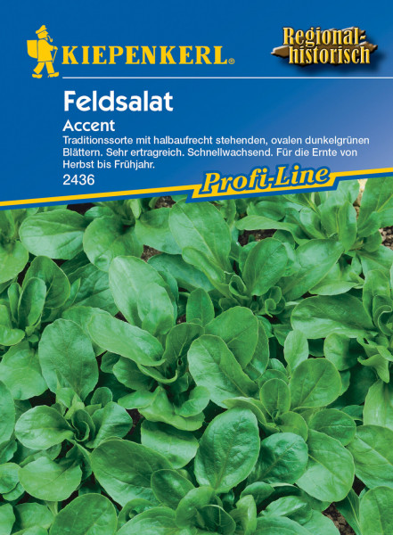 Produktbild von Kiepenkerl Feldsalat Accent mit grünem Salat im Vordergrund und Produktinformationen auf Deutsch.