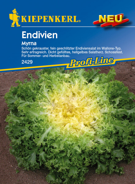 Produktbild von Kiepenkerl Endivien Myrna mit Darstellung der Endiviensalat Pflanze und Verpackungsdesign einschliesslich Produktbeschreibung und Markenlogo.