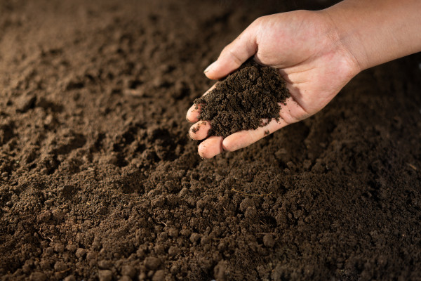 2400-hand-showing-a-soil-for-environment-background