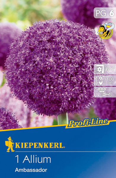 Produktbild von Kiepenkerl Profi-Line Zierlauch Ambassador mit Darstellung der lila Blüten auf der Verpackung und Informationen zur Pflanzenart Blütezeit und Wuchshöhe in deutscher Sprache.