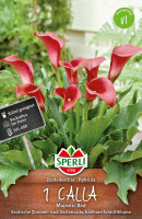 Sperli Calla Majestic Red