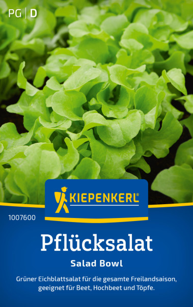 Kiepenkerl Pflücksalat Salad Bowl (Schnittsalat)