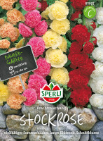 Sperli Stockrose Prachtmischung