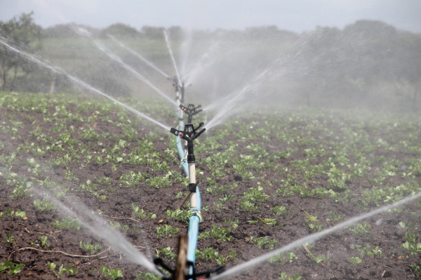 irrigation-588941_1280