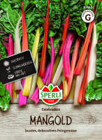 SPERLI Mangold Celebration, F1
