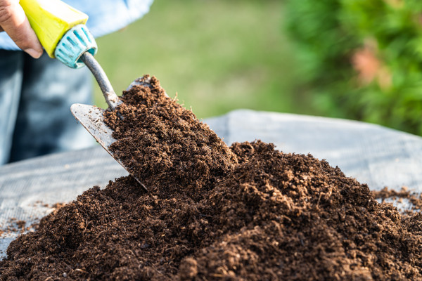 2400-gardener-woman-holding-peat-moss-organic-matter-improve-soil-for-agriculture-organic-plant-growing-ecology-concept-2