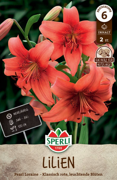 Produktbild der Sperli Lilie Pearl Loraine mit klassisch roten leuchtenden Blüten Angaben zur Mehrjährigkeit und Blütezeit im Juni bis Juli sowie Symbolen für Nützlingsfreundlichkeit und Packungsinhalt von 2 Stück.