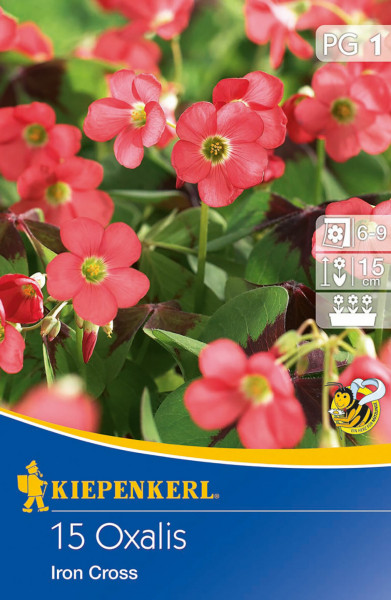 Produktbild von Kiepenkerl Glücksklee Iron Cross mit blühenden roten Pflanzen und Verpackungsinformationen wie Pflanzanleitung und Logo.