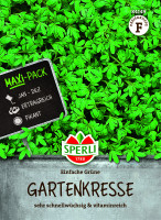 SPERLI Kresse Einfache grüne