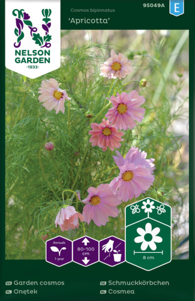 Produktbild von Nelson Garden Schmuckkörbchen Apricotta mit Abbildungen der rosa Blüten, Informationen zur Pflanzenart und Wuchshöhe sowie Markenlogo.