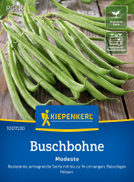 Kiepenkerl Buschbohne Modesto
