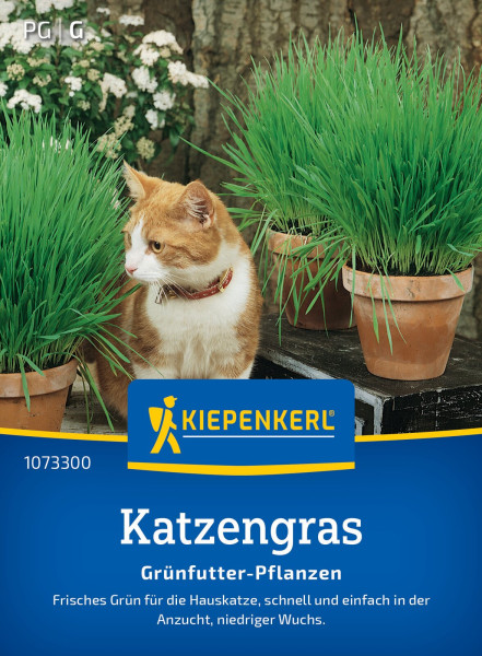 Kiepenkerl Katzengras Frischgrün Mischung