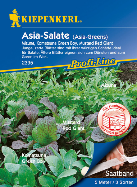 Produktbild von Kiepenkerl Asia-Salate Saatband mit Abbildung der verschiedenen Salatsorten und Informationen zur Anpflanzung und Eignung für Hochbeet und Kübel.