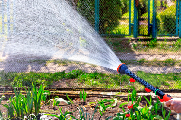 2400-the-gardener-holds-a-garden-shower-and-pours-water-on-the-garden-plot
