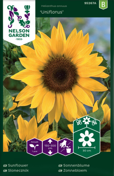 Produktbild von Nelson Garden Sonnenblume Uniflorus mit einer blühenden Sonnenblume und Informationen zu Wachstumshöhe und Blütengröße auf der Verpackung.