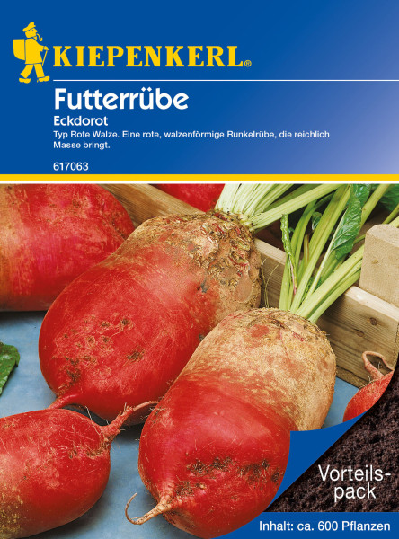 Produktbild von Kiepenkerl Futterrübe Eckdorot 35g zeigt rote walzenförmige Runkelrüben und Verpackungsinformationen mit der Aufschrift Vorteilspack Inhalt ca 600 Pflanzen.