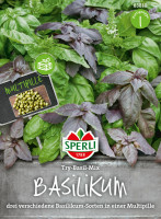 Sperli Basilikum Try-Basil-Mix Multipille