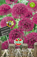 Sperli Zierlauch Purple Sensation