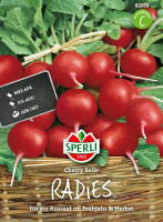 Produktbild von Sperli Radies Cherry Belle Samenpackung mit roten Radieschen und Aussaathinweisen. Produktbild von Sperli Radies Cherry Belle Samenpackung mit roten Radieschen und Aussaathinweisen.