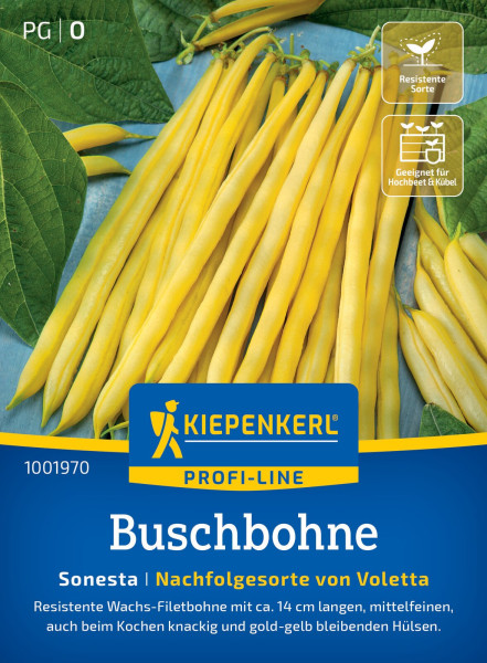 Kiepenkerl Buschbohne Sonesta