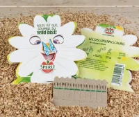 Sperli 10 Saatgut-Sticks zur einfachen Anzucht, Blume