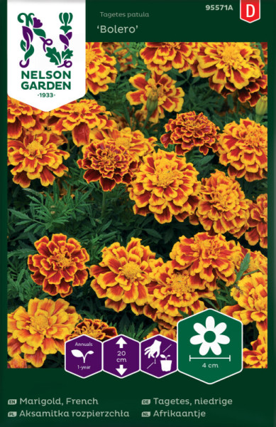Produktbild von Nelson Garden Niedrige Tagetes Bolero mit Darstellung der Blumen und Informationen zur Pflanzenart in mehreren Sprachen sowie Symbolen zu Pflanzeneigenschaften.