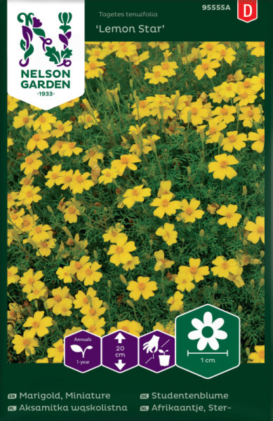 Produktbild von Nelson Garden Studentenblume Lemon Star mit Blütenabbildung und Anweisungen zur Aussaat auf der Verpackung in deutscher Sprache.