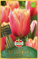 Sperli Premium Gefranste Tulpe Lambada