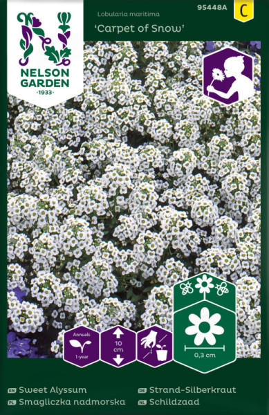 Produktbild von Nelson Garden Strand-Silberkraut Carpet of Snow mit Blumenabbildung und Informationen zur Pflanzenart, Wuchshöhe und Aussaat in deutscher Sprache.