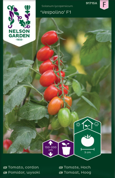 Produktbild von Nelson Garden Kirschtomate Vespolino F1 mit einer reifen Tomatenranke und Angaben zur Pflanzengroesse sowie Fruchtgroesse in mehreren Sprachen.