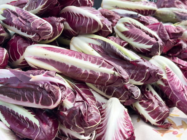 large-fresh-harvest-of-radicchio-chicory-on-display-at-local-market