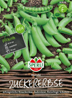 Sperli Zuckererbse Nairobi