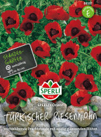 Sperli Türkischer Riesenmohn SPERLI's Orient