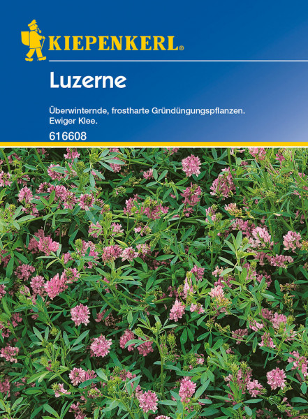 Produktbild von Kiepenkerl Luzerne 50g Verpackung mit der Darstellung von blühenden Pflanzen und Produktinformationen in deutscher Sprache.