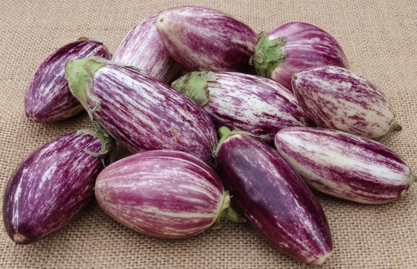 eggplant-3247609_1280