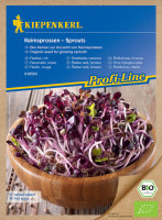 Kiepenkerl BIO Keimsprossen Radies rot