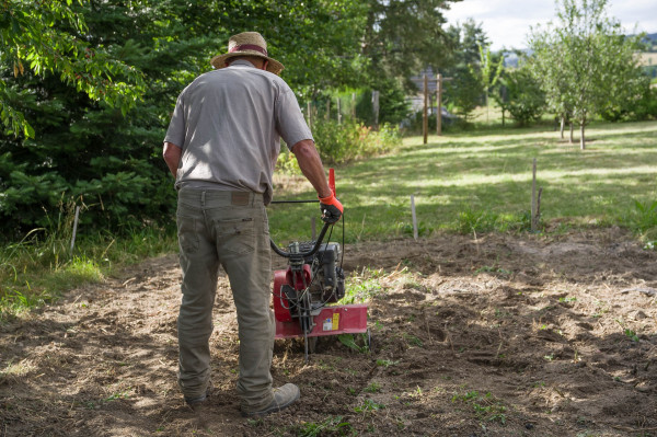 gardener-5384191_19206s9Vtg647cTmv