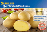 Kiepenkerl Pflanzkartoffel Belana 24 St