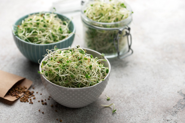 large-microgreens-grown-in-a-jar5LnFDh9vX5ZLg