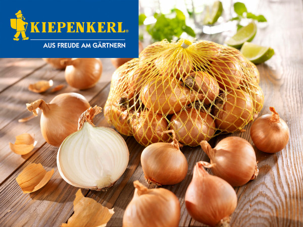 Produktbild von Kiepenkerl Schalotten Golden Gourmet in Netztasche auf Holzuntergrund mit Logo und halbierter Schalotte im Vordergrund