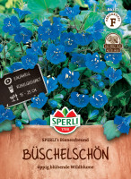 Sperli Büschelschön SPERLI's Bienenfreund