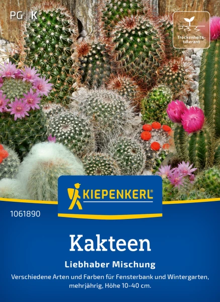 Kakteenkrankheiten: Erkennen & Behandeln | Samen.de