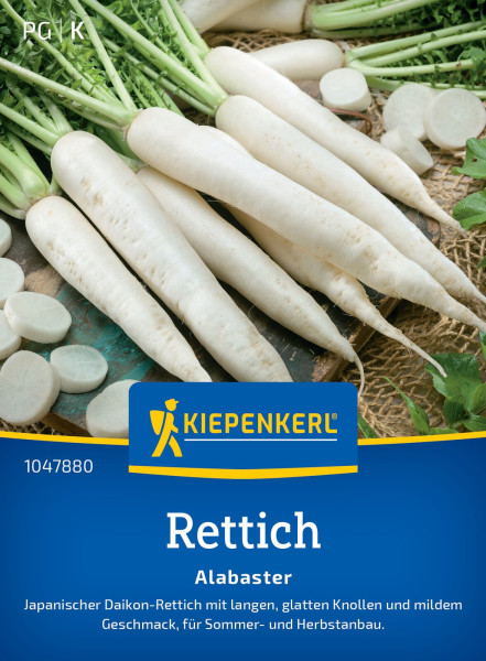 Kiepenkerl Rettich Alabaster F1