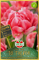 Sperli Premium Gefüllte Frühe Tulpe Foxtrot