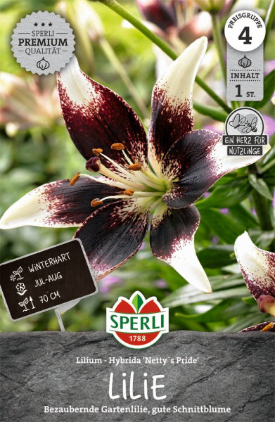 Produktbild von Sperli Lilie Nettys Pride mit einer Nahaufnahme der Blüte Informationen zur Winterhärte Blütezeit und Wuchshöhe sowie Hinweise zur Qualität und dem Nutzen für Insekten.
