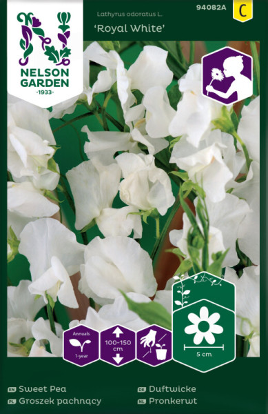 Produktbild von Nelson Garden Duftwicke Royal White mit Angabe der Pflanzenhöhe und Blütengröße auf Deutsch und weiteren Sprachen.